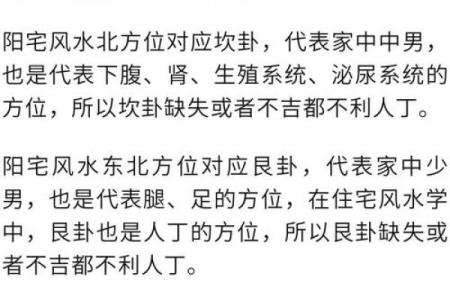 家居风水布局助力人丁兴旺的五大关键要素