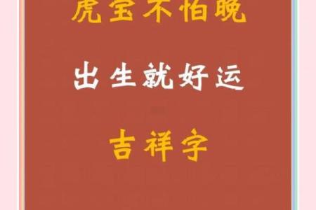 虎宝宝起名宝典：从传统到现代的名字选择