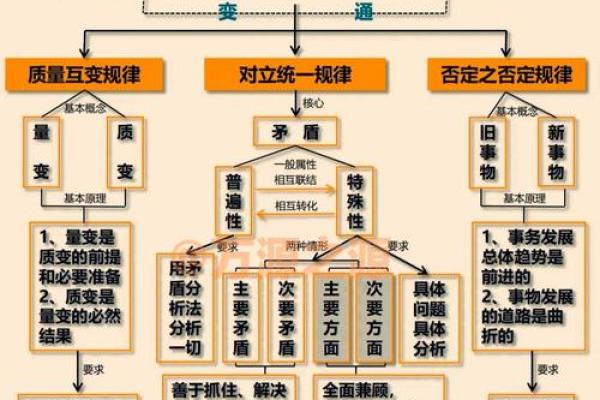 中上等命的五大关键因素揭秘 中上等命的五大关键因素揭秘