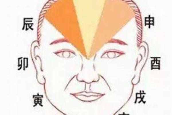 五官命解析:如何通过面部特征看人生运势 五官命解析:如何通过面部特征看人生运势