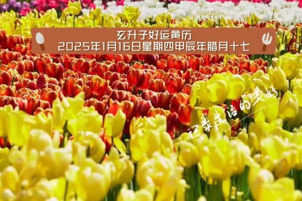 农历一天,适合做哪些事?好运加持的完美时机 农历一天,适合做哪些事?好运加持的完美时机