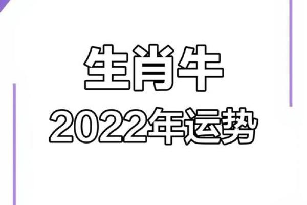 属牛人今日运势分析：如何把握机会迎接好运