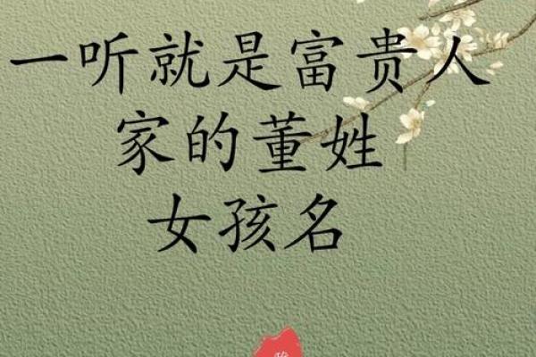 董姓女孩名字的独特选择与寓意分析
