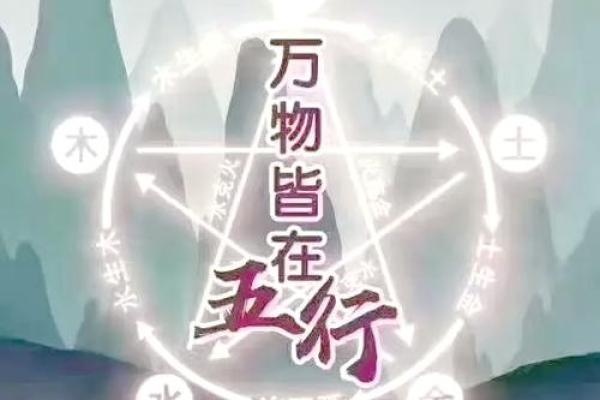 家居风水学的奥秘与选择指南 家居风水学的奥秘与选择指南