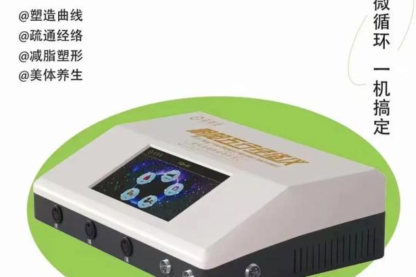 五行经络养生:提升身体健康的秘密武器 五行经络养生:提升身体健康的秘密武器