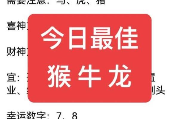 属猴人运势全攻略：逐月剖析命运走势