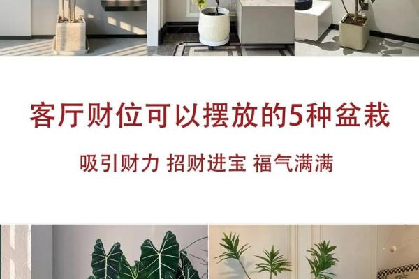 风水财位调整技巧助你招财进宝 风水财位调整技巧助你招财进宝