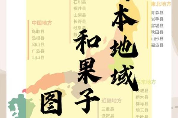 日本名字的独特文化与起源揭秘