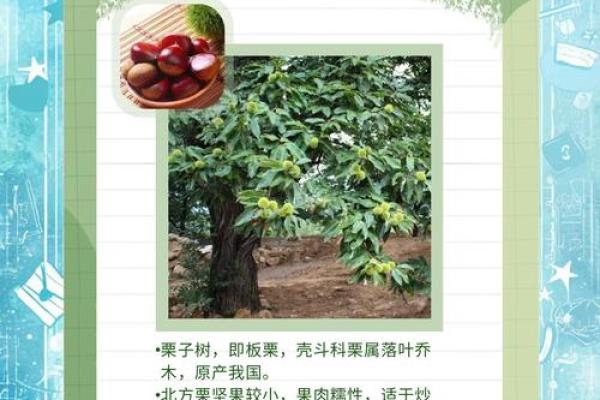 诗经之名与其文化底蕴的深度解析