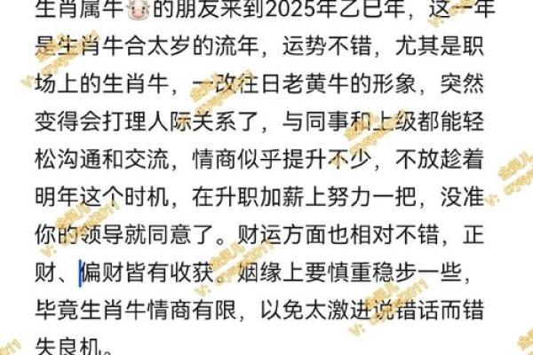 本命年牛男如何利用风水提升运势 本命年牛男如何利用风水提升运势