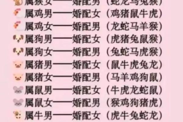 鸡男猴女婚姻配对分析：合适还是冲突？