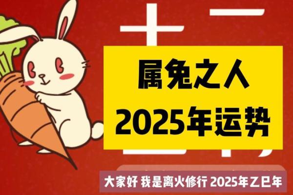 本命年属兔人如何增加学习机会 本命年属兔人如何增加学习机会