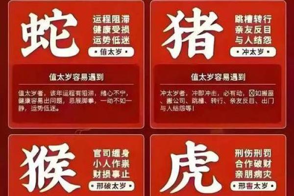 本命年属兔人如何增加学习机会 本命年属兔人如何增加学习机会