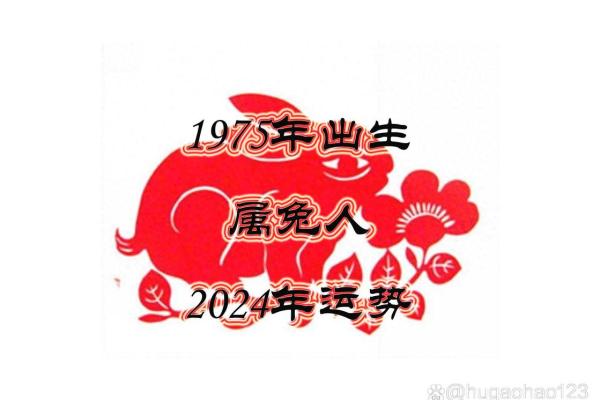 属兔人每月运势分析:出生的运程变化 属兔人每月运势分析:出生的运程变化