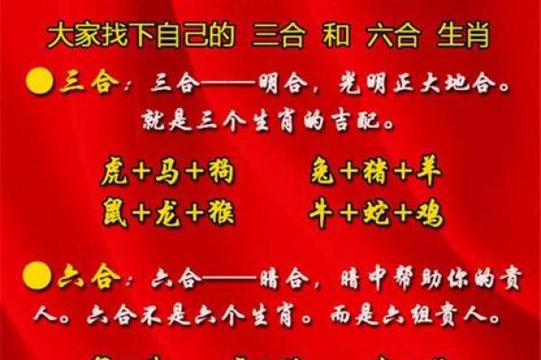 猴猪配对婚姻生活的真实体验 猴猪配对婚姻生活的真实体验