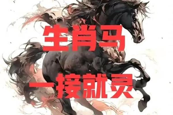 本命年属马如何避免外部压力影响 本命年属马如何避免外部压力影响