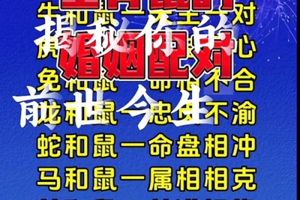 虎与鼠的婚姻是否合适?探讨生肖配对的可能性 虎与鼠的婚姻是否合适?探讨生肖配对的可能性