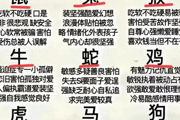 虎与鼠的婚姻是否合适?探讨生肖配对的可能性 虎与鼠的婚姻是否合适?探讨生肖配对的可能性
