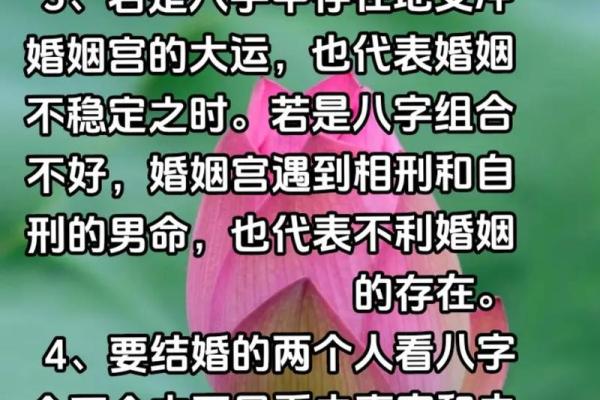 八字中的婚姻宫位:揭示你的爱情与婚姻趋势 八字中的婚姻宫位:揭示你的爱情与婚姻趋势