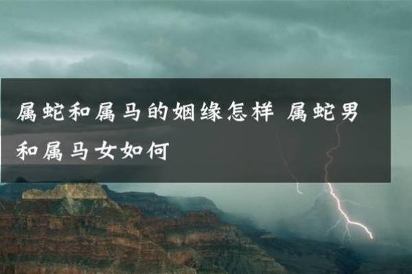 属蛇男与属羊女的婚姻走向:优点与缺点一探究竟 属蛇男与属羊女的婚姻走向:优点与缺点一探究竟