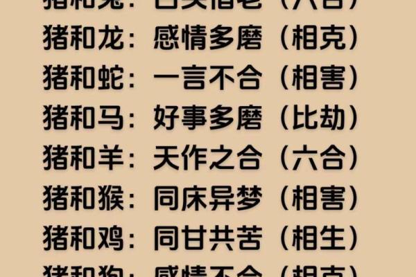 属猪与属龙的婚配是否理想 属猪与属龙的婚配是否理想
