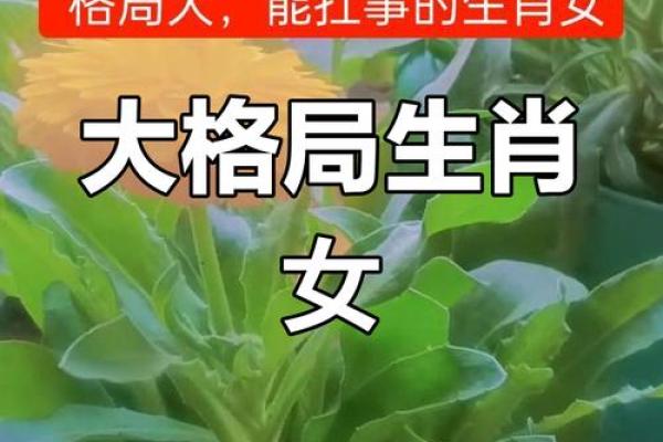 本命年鼠女如何化解情感难题 本命年鼠女如何化解情感难题