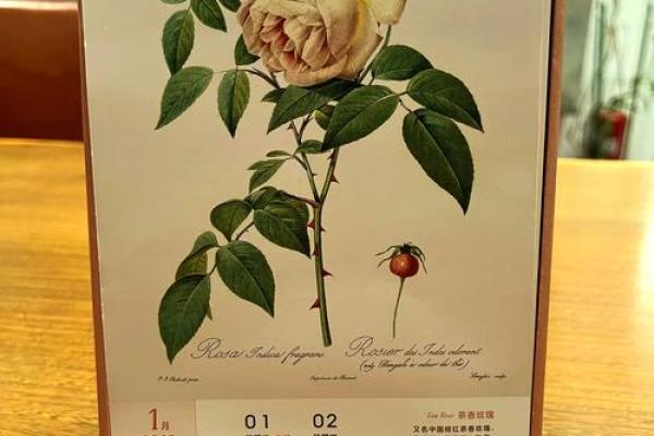 2025年度日历:记录时光,开启梦想之旅 2025年度日历:记录时光,开启梦想之旅
