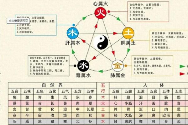 五行之道:探索五行列表背后的深层含义与应用 五行之道:探索五行列表背后的深层含义与应用