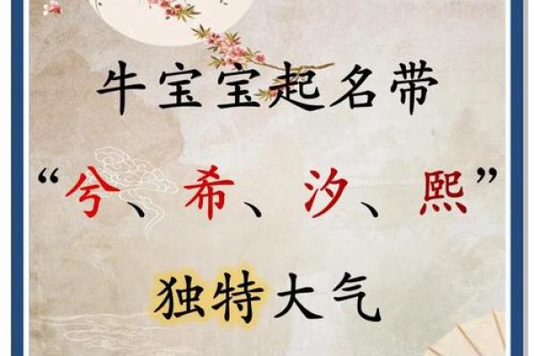 属牛宝宝起名技巧：如何选择既有寓意又易记的名字