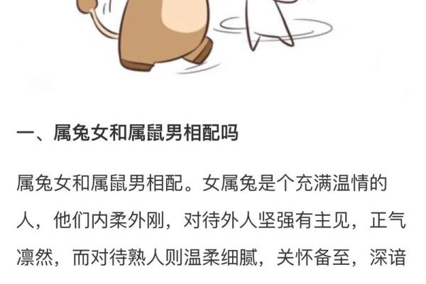 属兔与属猪的婚配缘分深度解读 属兔与属猪的婚配缘分深度解读