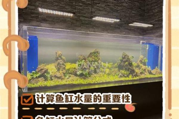 缸的五行属性解析,如何影响你的生活与运势 缸的五行属性解析,如何影响你的生活与运势