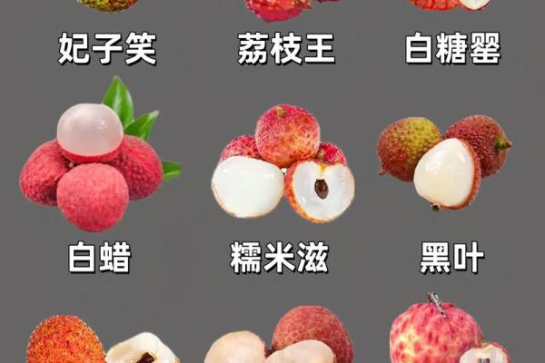 荔枝五行属性揭秘:如何根据五行选对荔枝品种? 荔枝五行属性揭秘:如何根据五行选对荔枝品种?