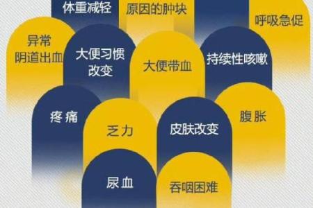 中上等命的五大关键因素揭秘