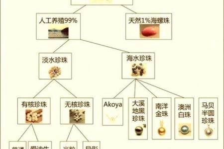 珍珠命的含义与象征解析