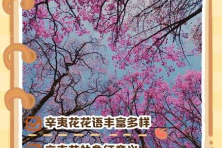让花开满心：不同花朵名称背后的故事