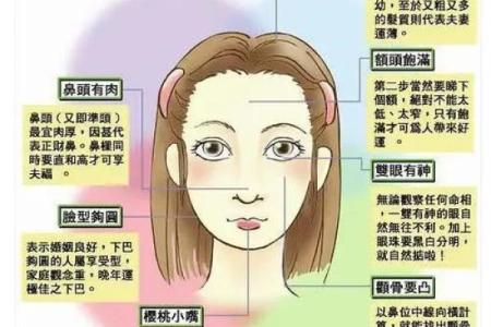 五官命解析：如何通过面部特征看人生运势