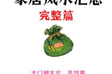 家居风水如何影响你的事业发展与成功