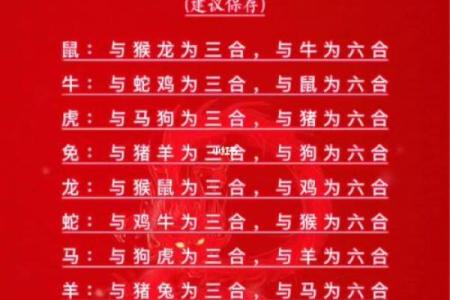 牛鼠婚配：性格差异如何影响婚姻生活