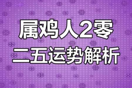 属鸡人今年运程如何，运势好转的秘诀揭秘