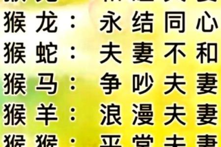 男猪女牛婚姻配对解析：性格与命运的契合度如何？