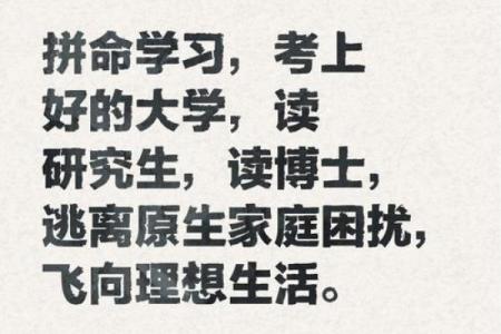 什么样的命运才是最理想的