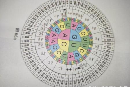 通过八字解析老婆的长相，简单实用的方法