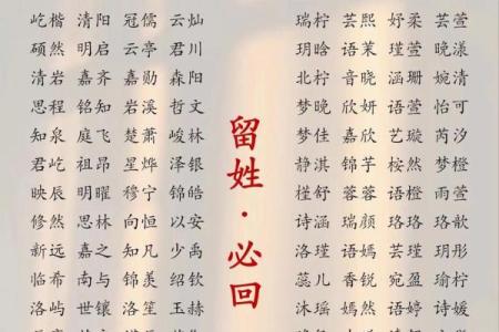 免费名字打分测试：帮你挑选最合适的名字
