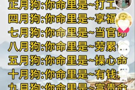 猴猪配对婚姻生活的真实体验