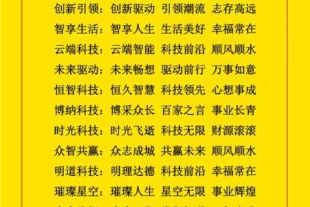 如何通过免费公司起名软件获得创意灵感