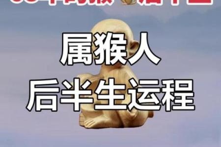 猴年运势展望：如何在事业和爱情中抓住机会