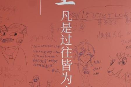 五行与泡泡的奇妙联系，解开生活中的神秘密码
