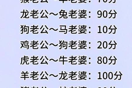 属虎和属马的缘分究竟如何 看看这两个生肖的匹配度