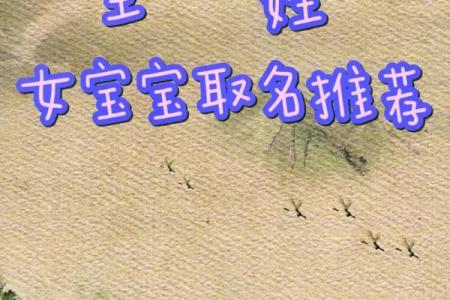 王氏家族企业命名指南 股东均为王姓如何取名最合适