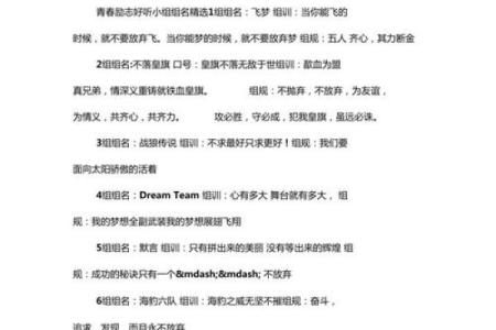 组的名字：团队凝聚力的象征